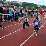 2010 dsWs