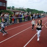 2010 dsWs