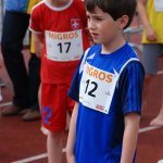 2010 dsWs