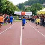 2010 dsWs