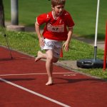 2010 dsWs