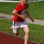 2010 dsWs