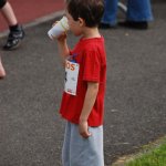 2010 dsWs