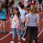 2010 dsWs