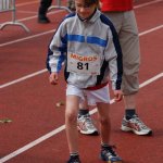 2010 dsWs