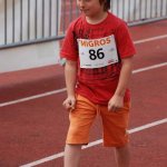2010 dsWs