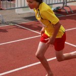 2010 dsWs