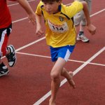 2010 dsWs