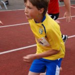 2010 dsWs