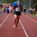 2010 dsWs