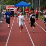 2010 dsWs