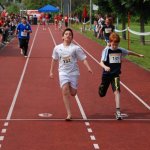 2010 dsWs