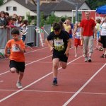 2010 dsWs