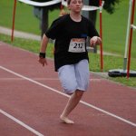 2010 dsWs