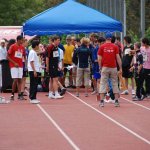 2010 dsWs