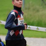 2010 dsWs