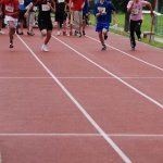 2010 dsWs