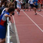 2010 dsWs