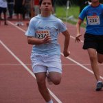 2010 dsWs