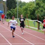 2010 dsWs