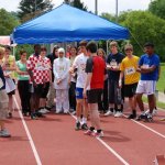 2010 dsWs