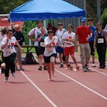 2010 dsWs