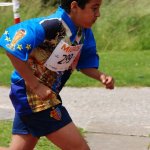 2010 dsWs