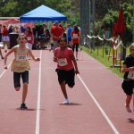 2010 dsWs