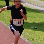 2010 dsWs