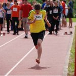 2010 dsWs