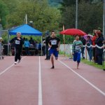 2013 dsWs