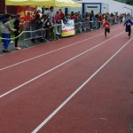 2013 dsWs