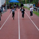 2013 dsWs