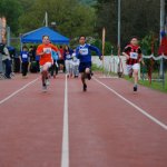 2013 dsWs