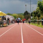 2013 dsWs