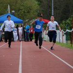 2013 dsWs
