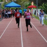 2013 dsWs