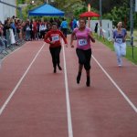 2013 dsWs