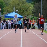 2013 dsWs