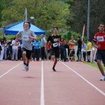 2013 dsWs