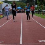 2013 dsWs