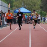 2013 dsWs