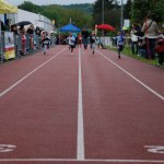 2013 dsWs