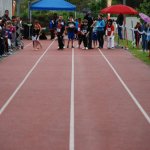2013 dsWs