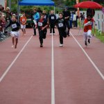 2013 dsWs