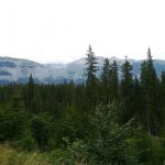 2013 Plauschweekend AR