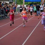 2014 dsWs