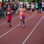 2014 dsWs