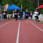 2014 dsWs