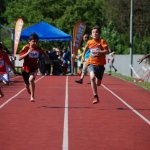 2014 dsWs